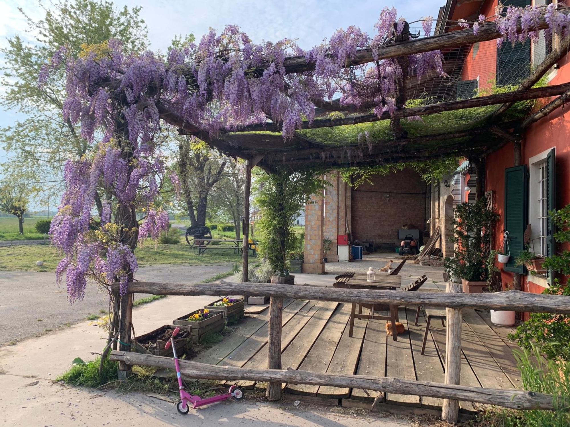 Villa Fattoria Amelia Santa Caterina  Exterior foto